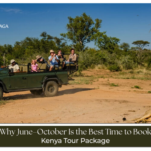Best time to book a Kenya tour package from June to October for safari adventures