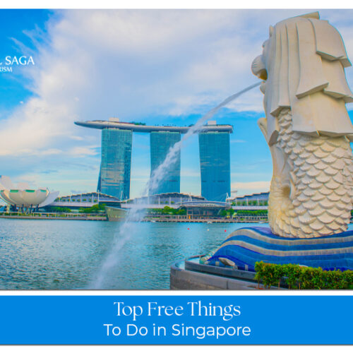 Free attractions in Singapore including Gardens by the Bay, Merlion Park, Marina Bay, and cultural neighborhoods
