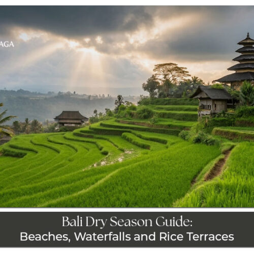 Sunny Bali beaches, rice terraces, and temples during the dry season