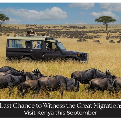 Travellers enjoying Kenya safari, wildlife, and natural landscapes in September