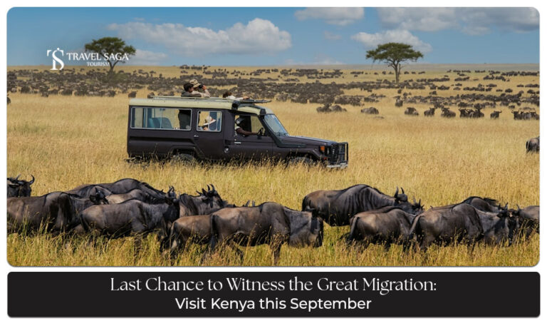 Travellers enjoying Kenya safari, wildlife, and natural landscapes in September