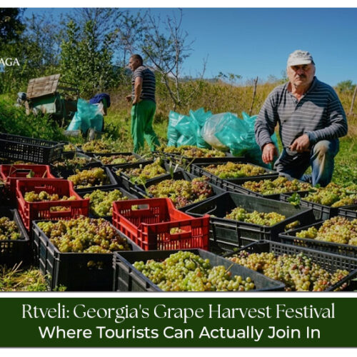 Georgia Grape Harvest Festival with wine traditions and cultural celebrations