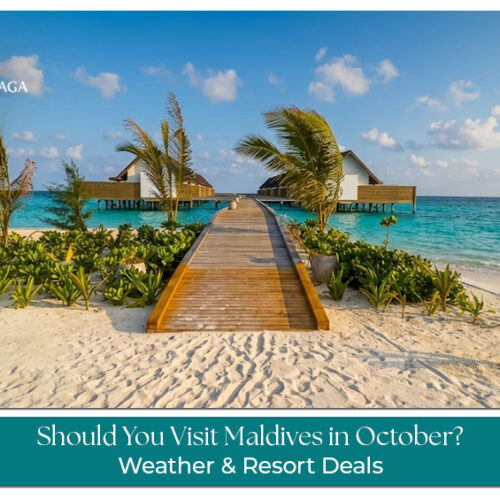 Travellers relaxing at a Maldives beach resort during October