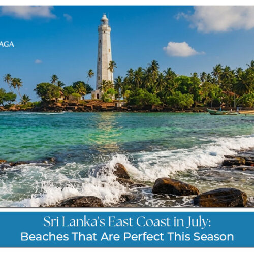 Travellers enjoying the sunny beaches and turquoise waters of Sri Lanka’s East Coast in July