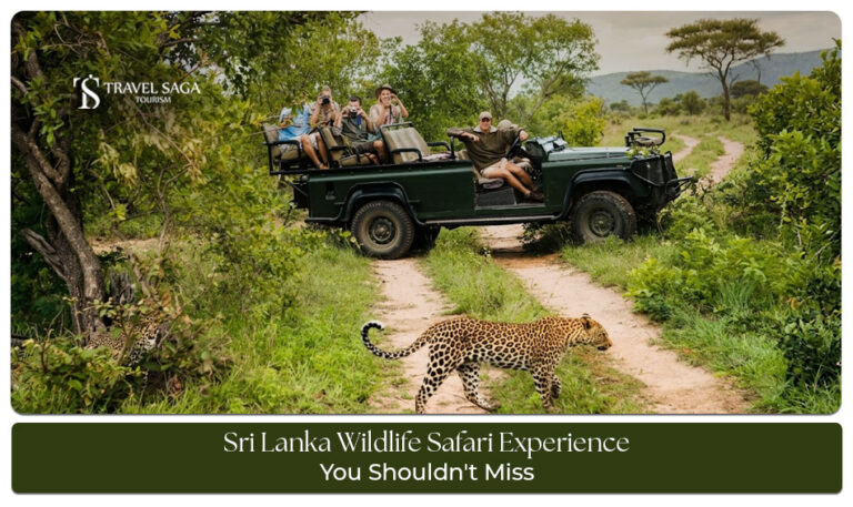 Sri Lanka Wildlife Safari Experience featuring national parks, exotic wildlife, jeep safaris, and unforgettable nature adventures