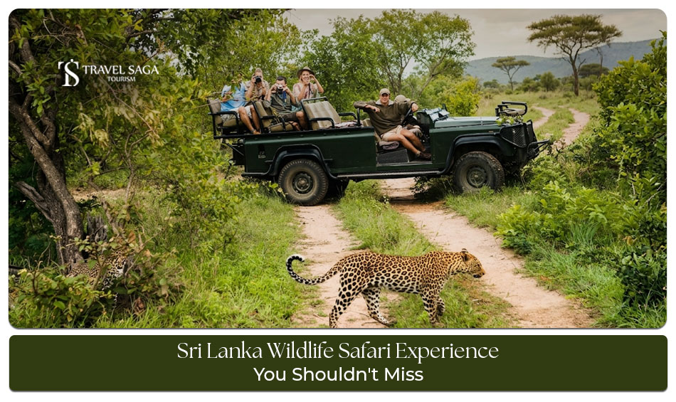 Sri Lanka Wildlife Safari Experience featuring national parks, exotic wildlife, jeep safaris, and unforgettable nature adventures