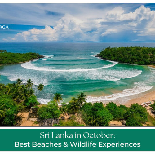 Travellers exploring beaches, tea plantations, and cultural attractions in Sri Lanka during October