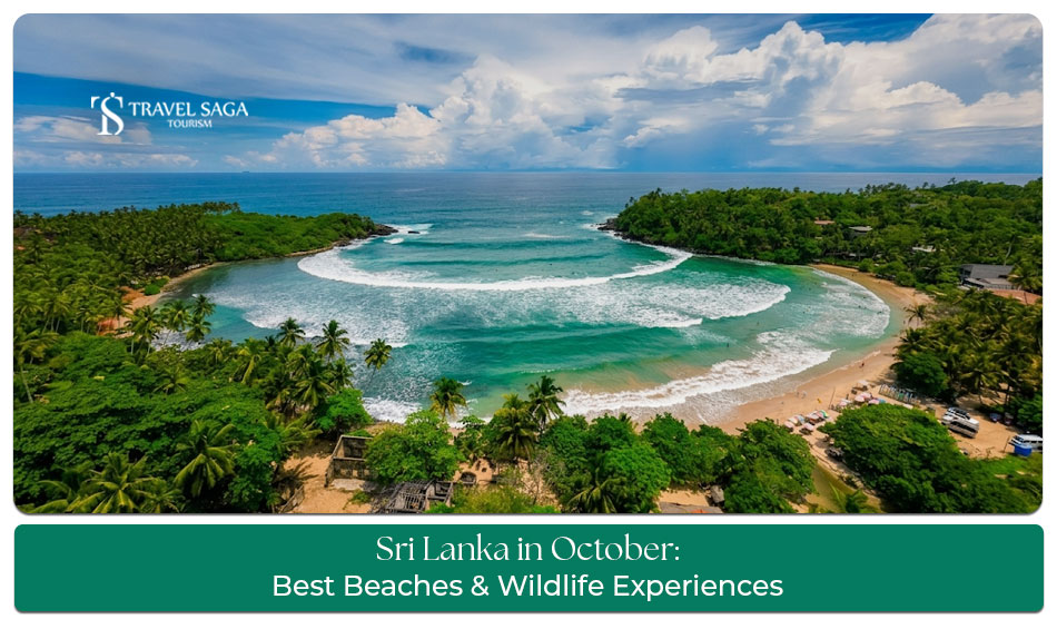 Travellers exploring beaches, tea plantations, and cultural attractions in Sri Lanka during October