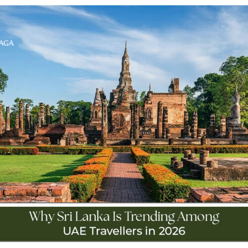 UAE travellers exploring Sri Lanka’s beaches, tea plantations, wildlife, and cultural landmarks