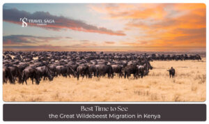 Great Wildebeest Migration in Kenya with breathtaking wildlife sightings