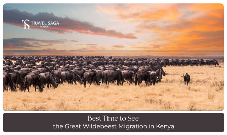Great Wildebeest Migration in Kenya with breathtaking wildlife sightings