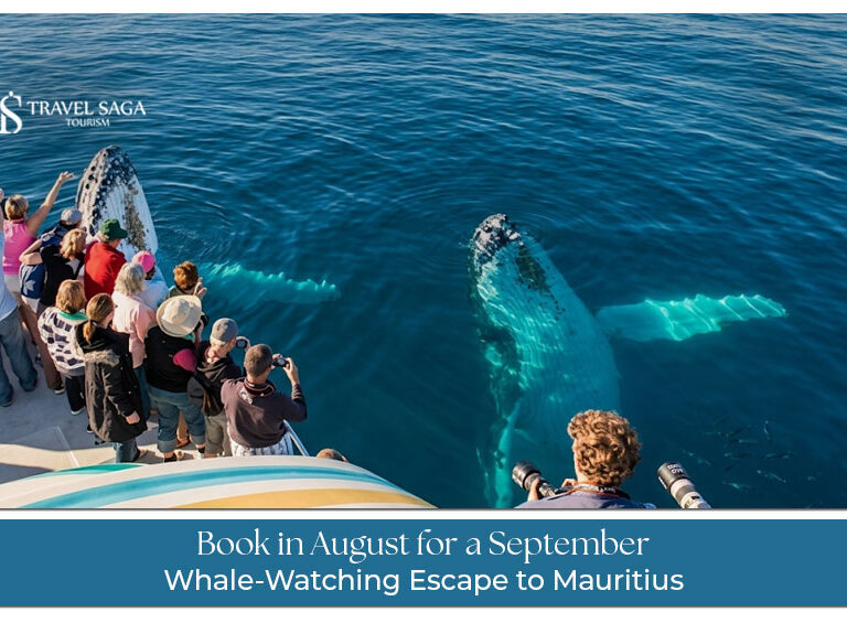 Experience whale watching in Mauritius during the best season to spot majestic whales in the Indian Ocean.