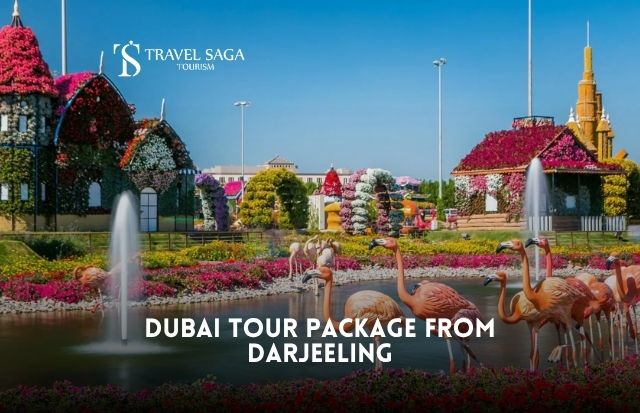 Dubai Tour Package from Darjeeling