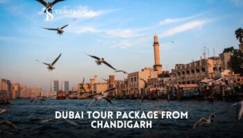 Dubai Tour Package from Chandigarh