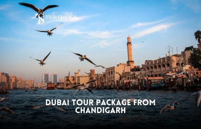 Dubai Tour Package from Chandigarh