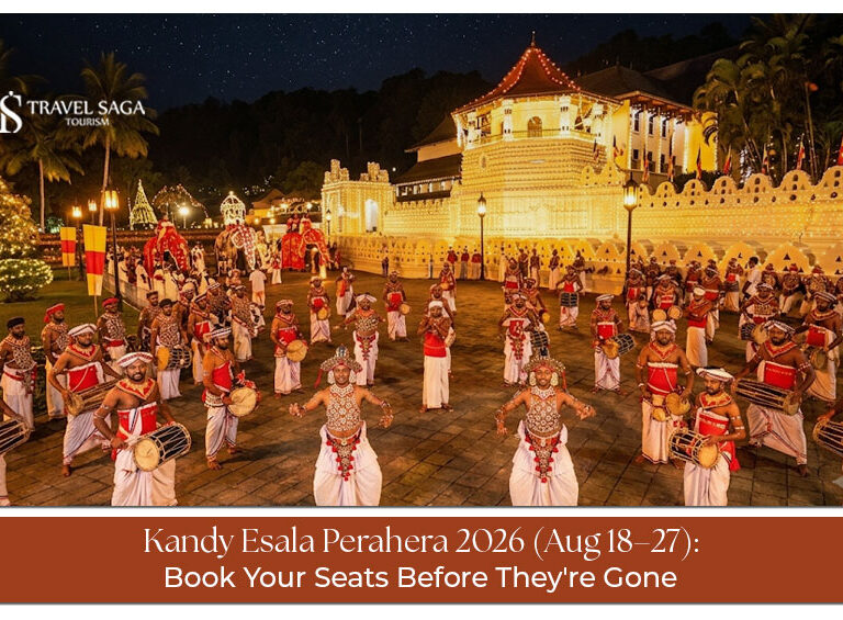Experience the vibrant Kandy Esala Perahera 2026 with decorated elephants, traditional dancers, and cultural performances.