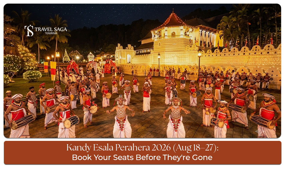 Experience the vibrant Kandy Esala Perahera 2026 with decorated elephants, traditional dancers, and cultural performances.