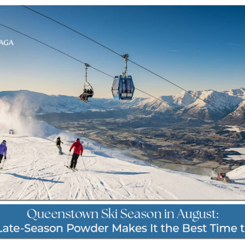 Experience Queenstown's snowy mountains and exciting ski slopes during the August winter season.