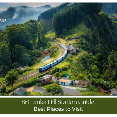 Scenic Sri Lanka hill station surrounded by lush green mountains.
