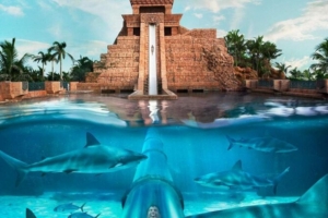 Atlantis Aquaventure Shark Tank Waterslide