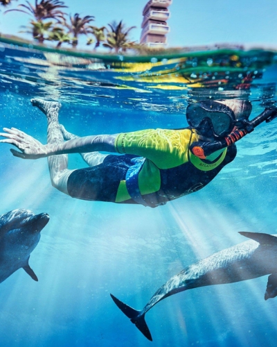 Dolphin Encounter at Atlantis The Palm