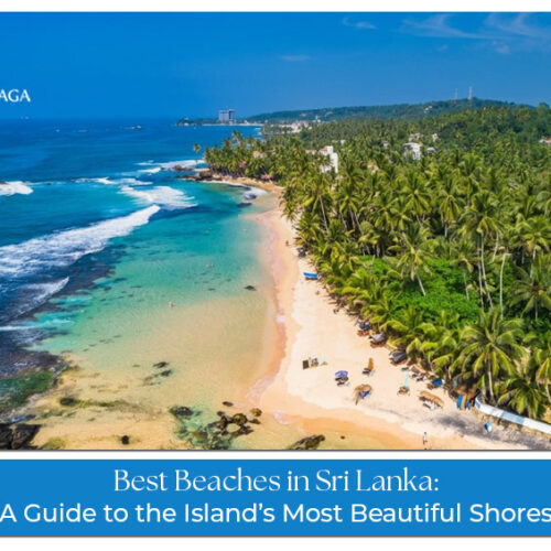 Best beaches in Sri Lanka for relaxing, swimming, and scenic coastal views.