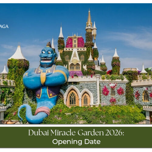 Visitors exploring vibrant floral displays and themed gardens at Dubai Miracle Garden.