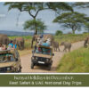 Travellers enjoying a December holiday surrounded by Kenya’s scenic landscapes and wildlife.
