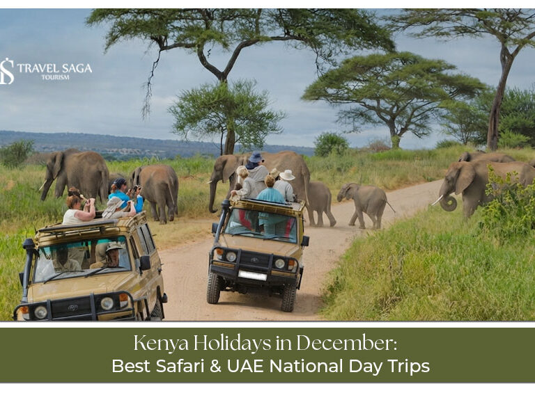 Travellers enjoying a December holiday surrounded by Kenya’s scenic landscapes and wildlife.