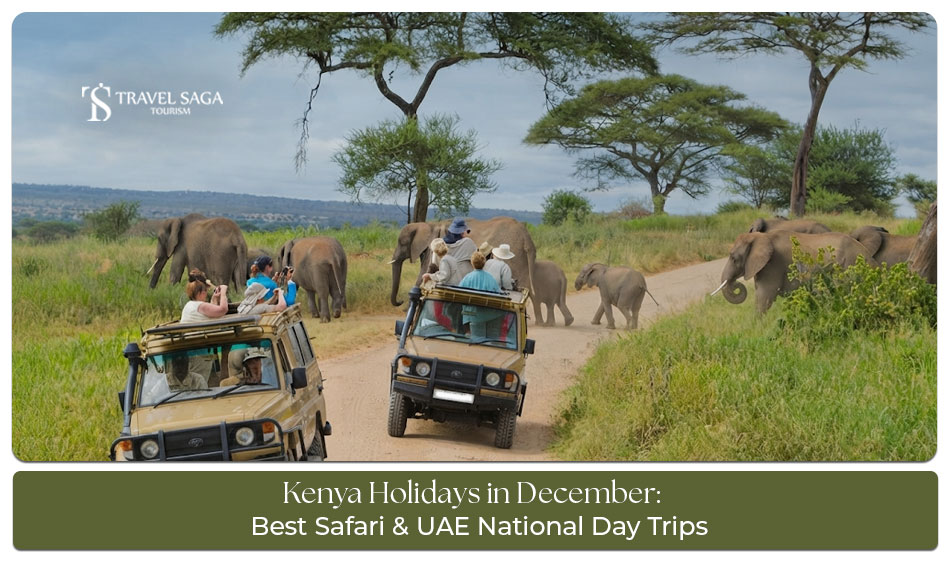 Travellers enjoying a December holiday surrounded by Kenya’s scenic landscapes and wildlife.