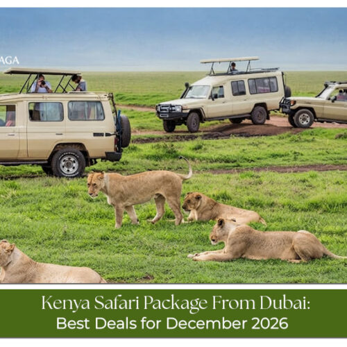 A Kenya safari adventure showcasing wildlife and scenic landscapes for travellers from Dubai.