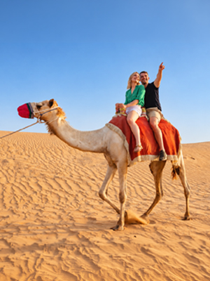 Desert Safari Dubai Camel Ride Experience