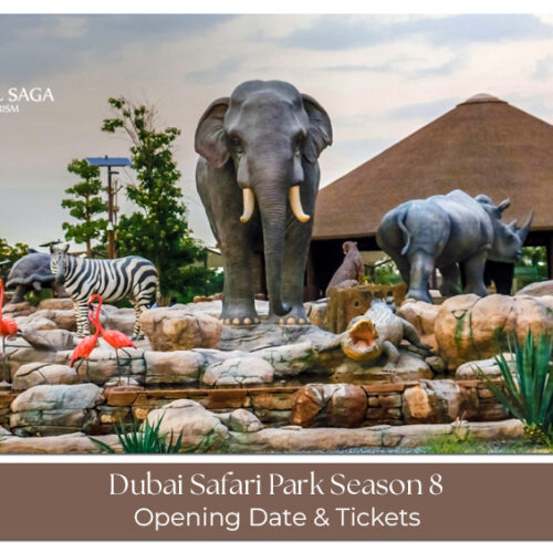 Dubai Safari Park Season 8 reopening and new wildlife experiences.