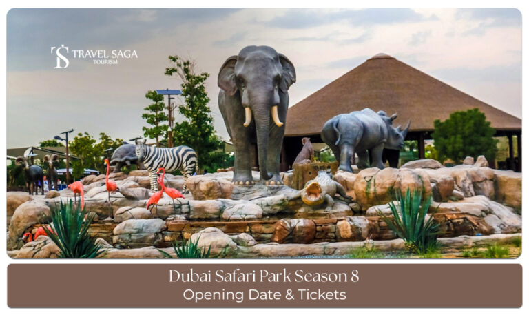 Dubai Safari Park Season 8 reopening and new wildlife experiences.