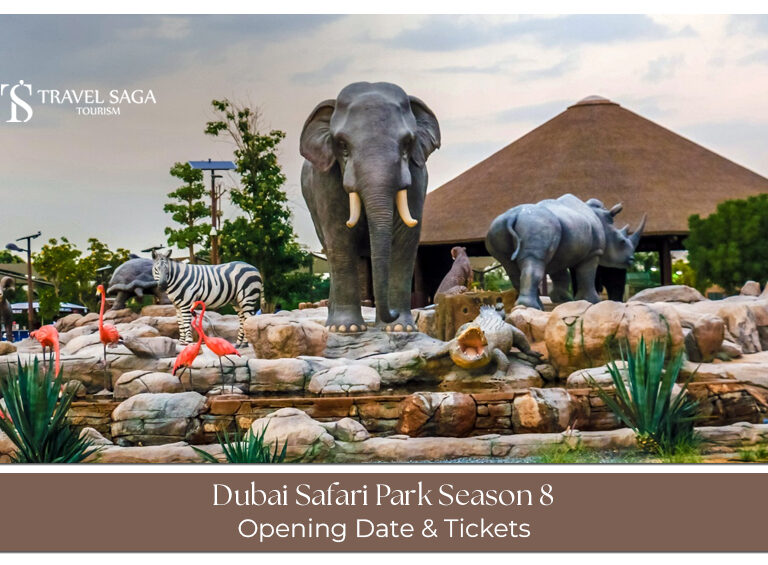 Dubai Safari Park Season 8 reopening and new wildlife experiences.