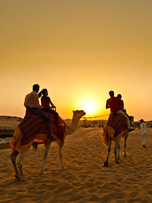 Evening Desert Safari Abu Dhabi