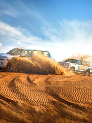 Morning Desert Safari Abu Dhabi