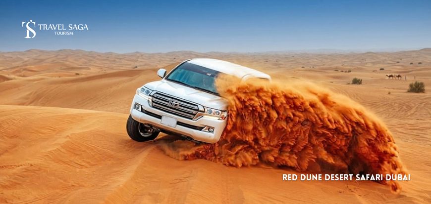 Red Dune Desert Safari Dubai experience across the golden desert dunes.