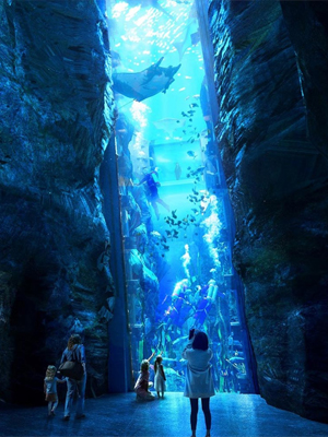 SeaWorld Abu Dhabi