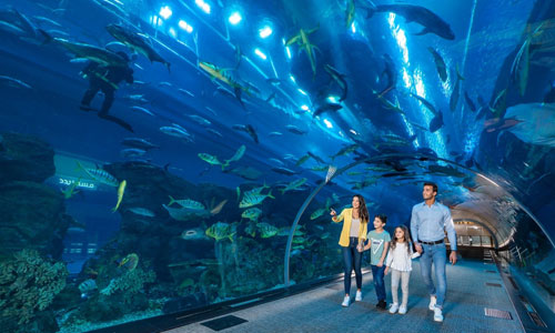 Dubai Aquarium and Underwater Zoo