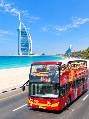 Dubai City Tour with Iconic Landmarks and Skyline Views
