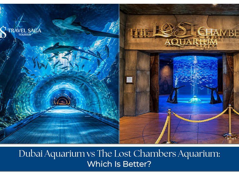 Visitors exploring colourful marine life and underwater exhibits at Dubai's popular aquariums.