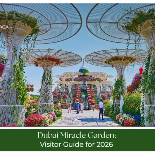 Colourful floral displays and creative flower sculptures at Dubai Miracle Garden.