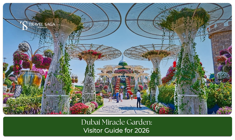 Colourful floral displays and creative flower sculptures at Dubai Miracle Garden.