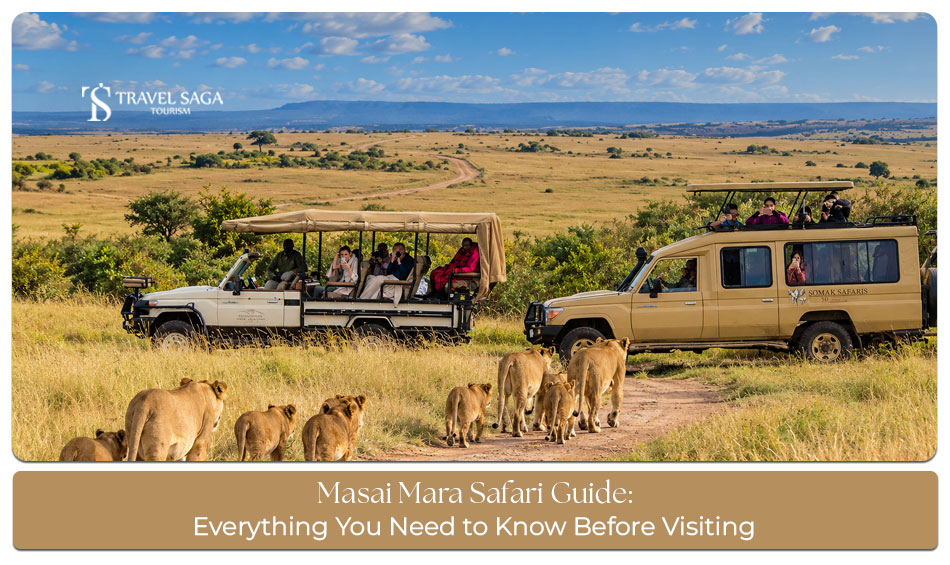 Tourists observing wild animals across the golden grasslands of Kenya's Masai Mara during a safari adventure.