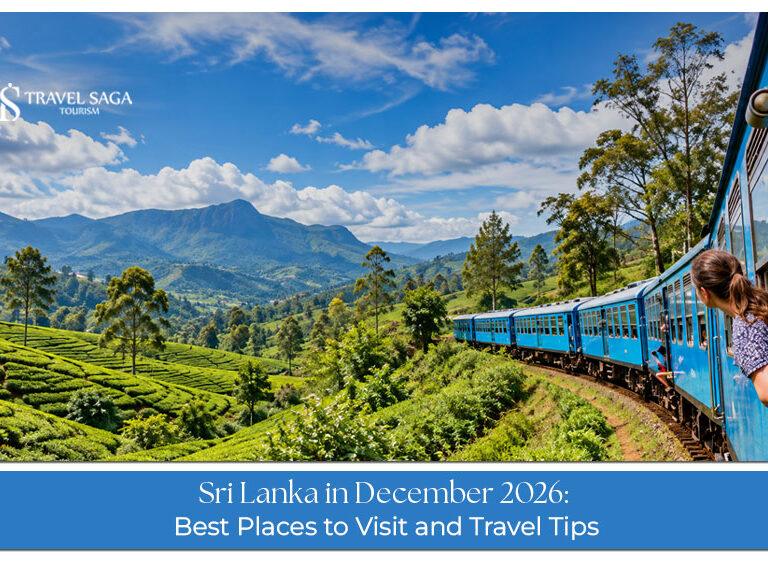 Scenic Sri Lankan coastline with tropical beaches, lush landscapes, and cultural attractions for December travellers.