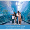 Families enjoying fun rides, interactive attractions, and outdoor adventures in Dubai.