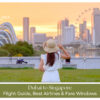 Dubai to Singapore flight guide featuring airline options, flight duration and airfare planning tips