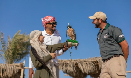 Heritage falconry and nature safari in Dubai