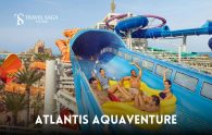 image Atlantis Aquaventure thumbnail homepage